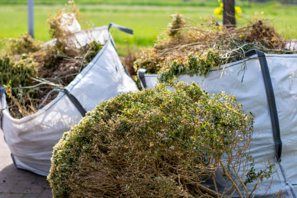 Best Yard Waste Removal  in Maysville, OK